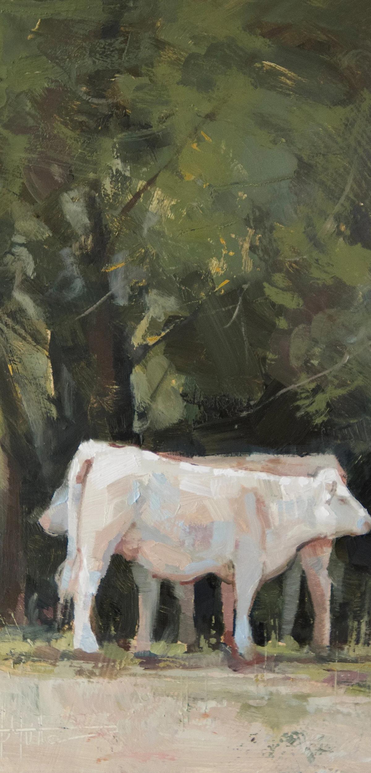 Two Charolais by Madelynn Mutter