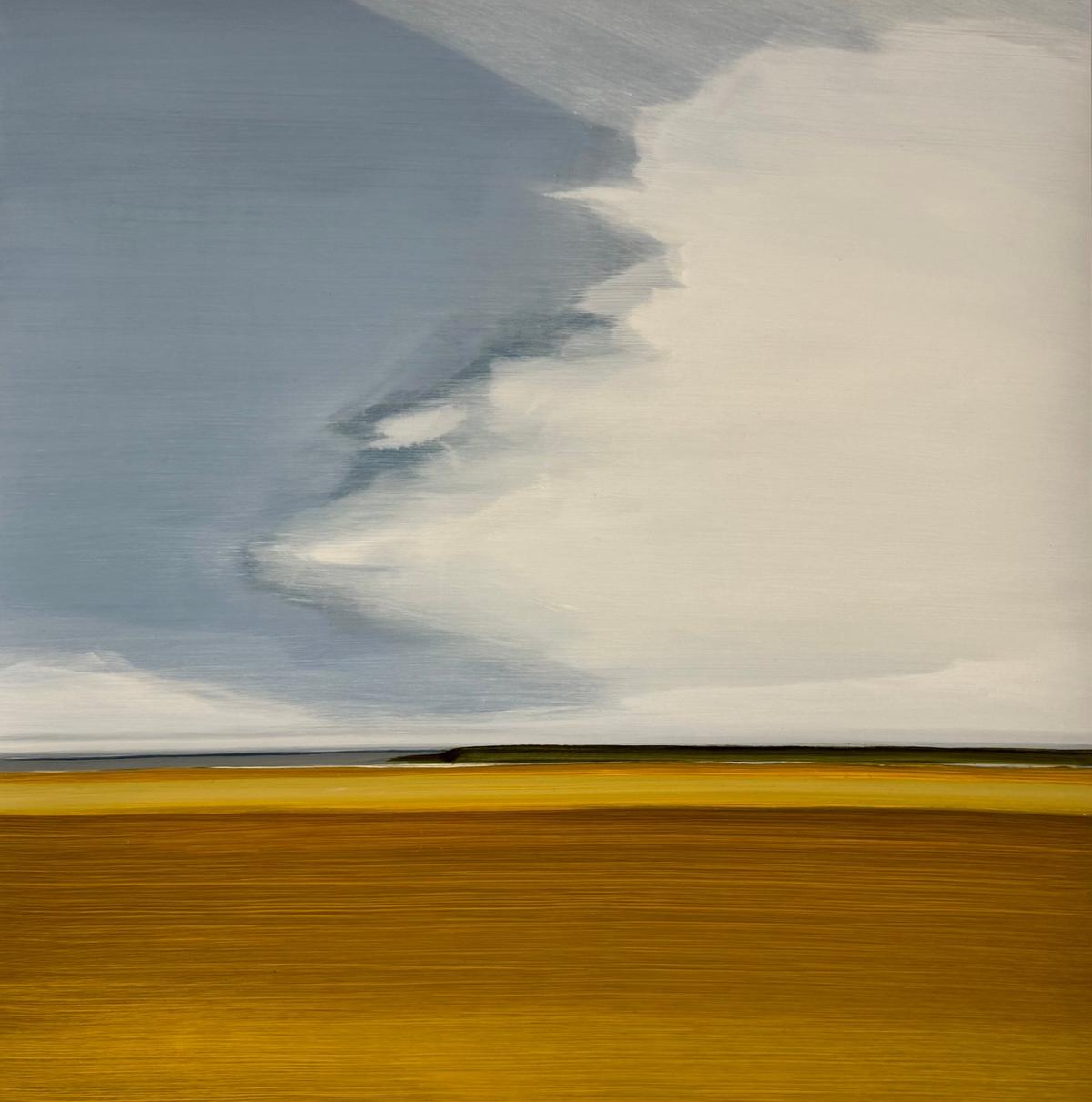 Prarie 3 by Frances Ashforth