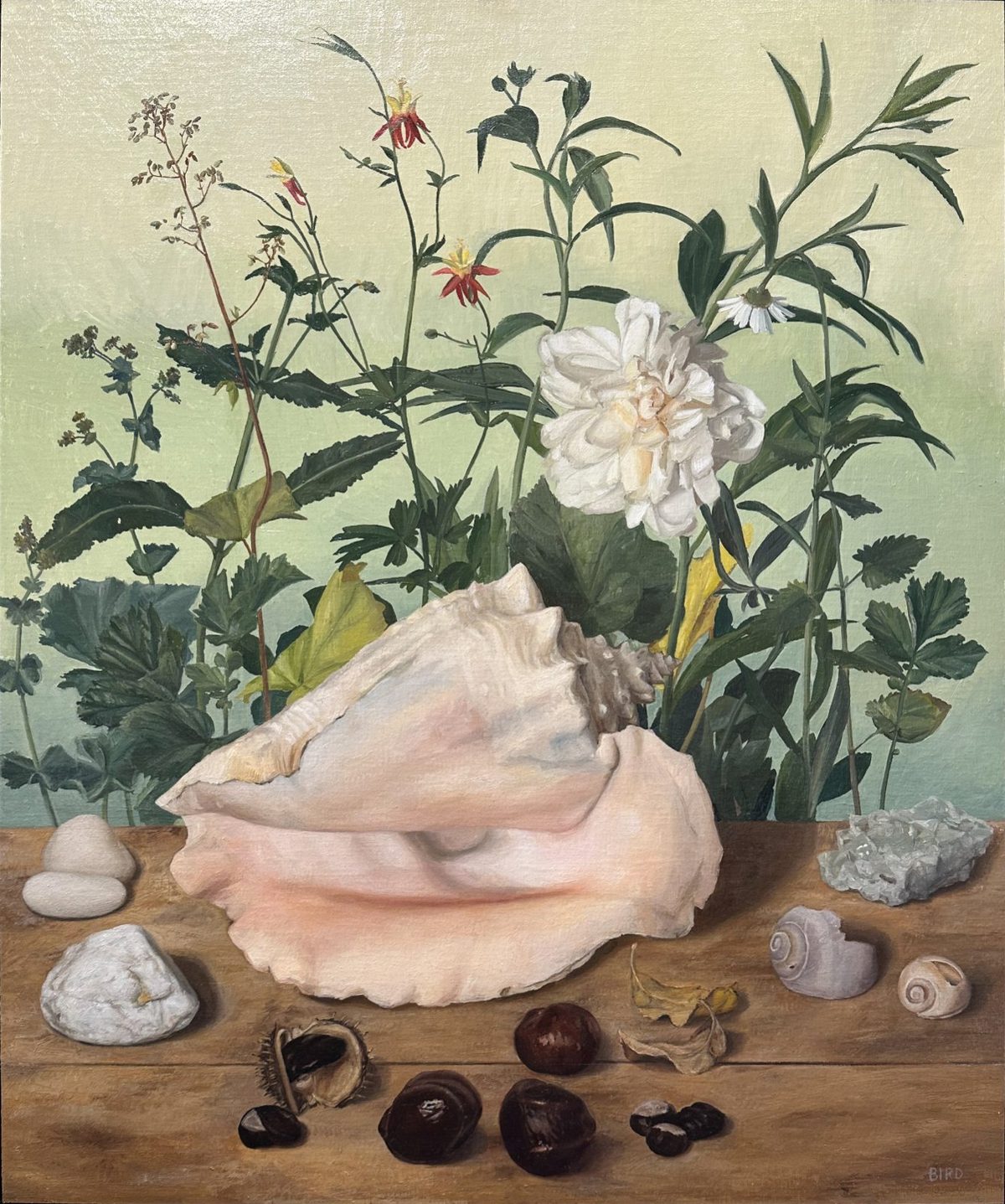 Untitled, Tiny Fruits 24 by Sarah Bird