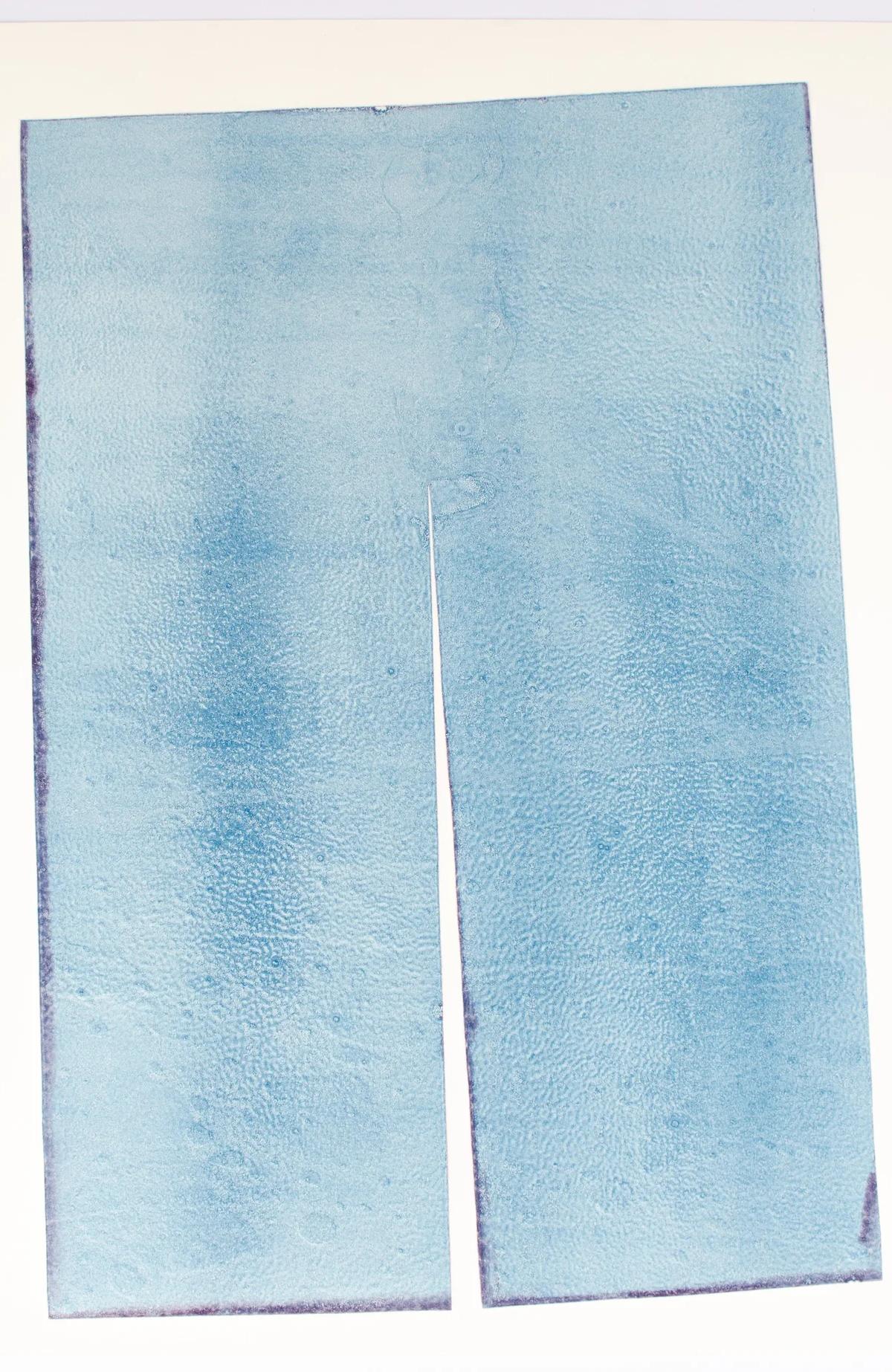 Untitled 13 by Lisa Williamson