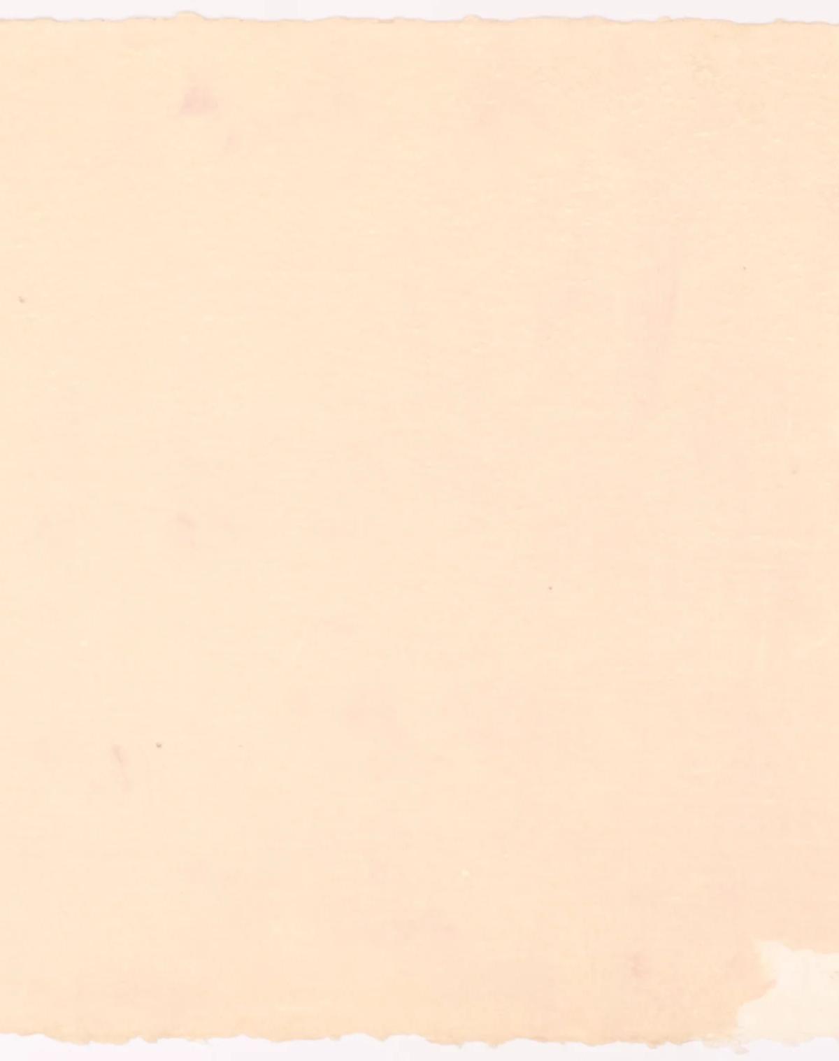 Colombe I by John Zurier
