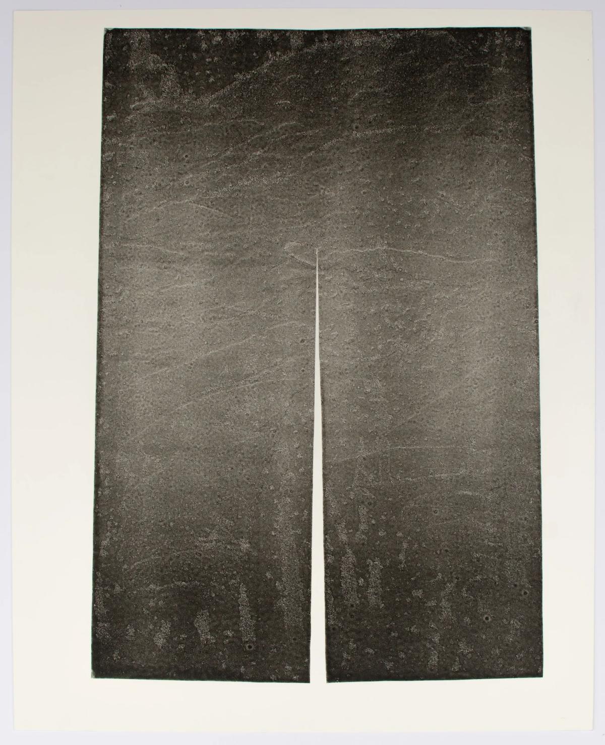 Untitled 12 by Lisa Williamson