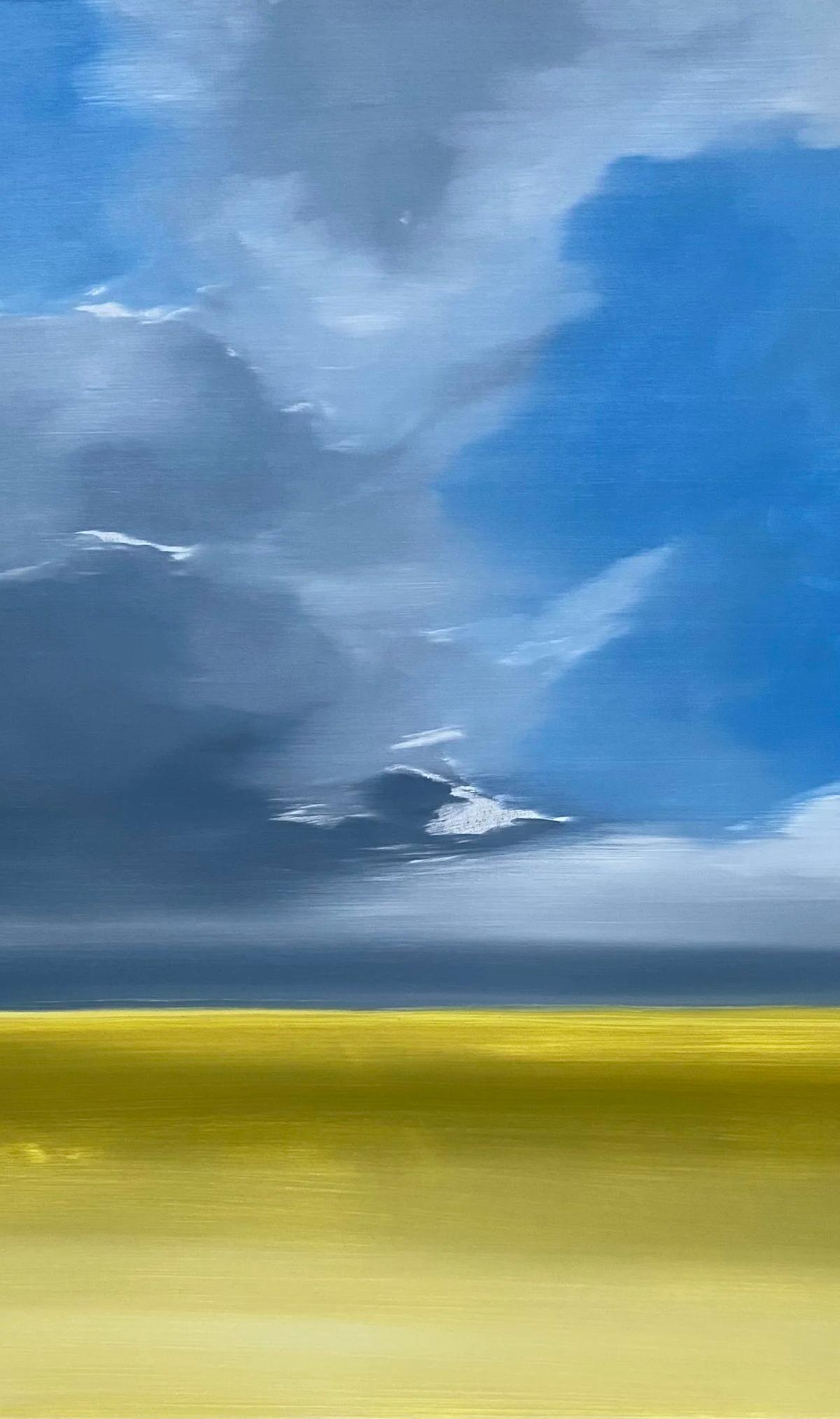 Prairie Study 3 by Frances Ashforth