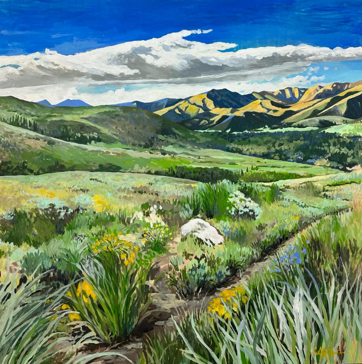 The Land of Many Uses by Cubby West Spain
