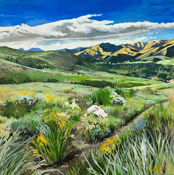 The Land of Many Uses by Cubby West Spain