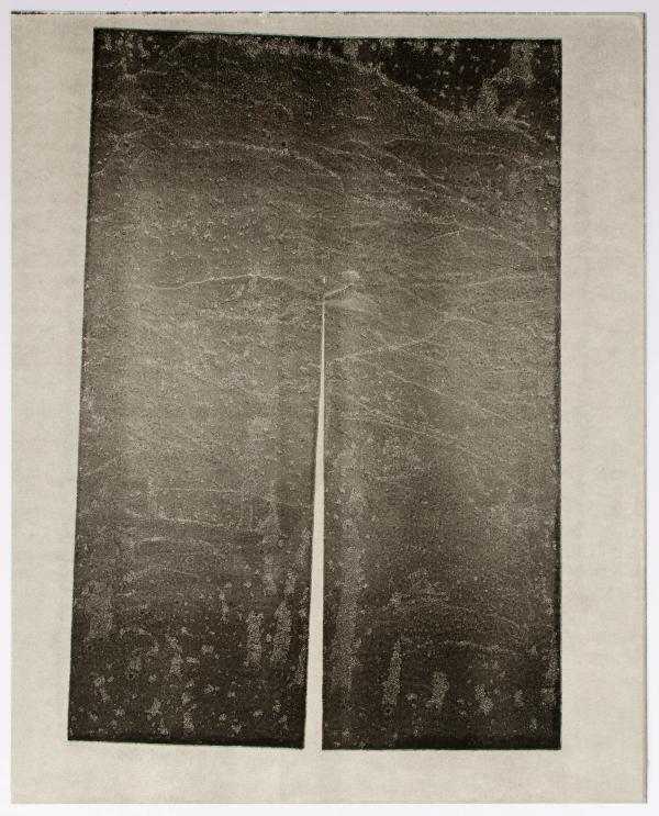 Untitled 10 by Lisa Williamson