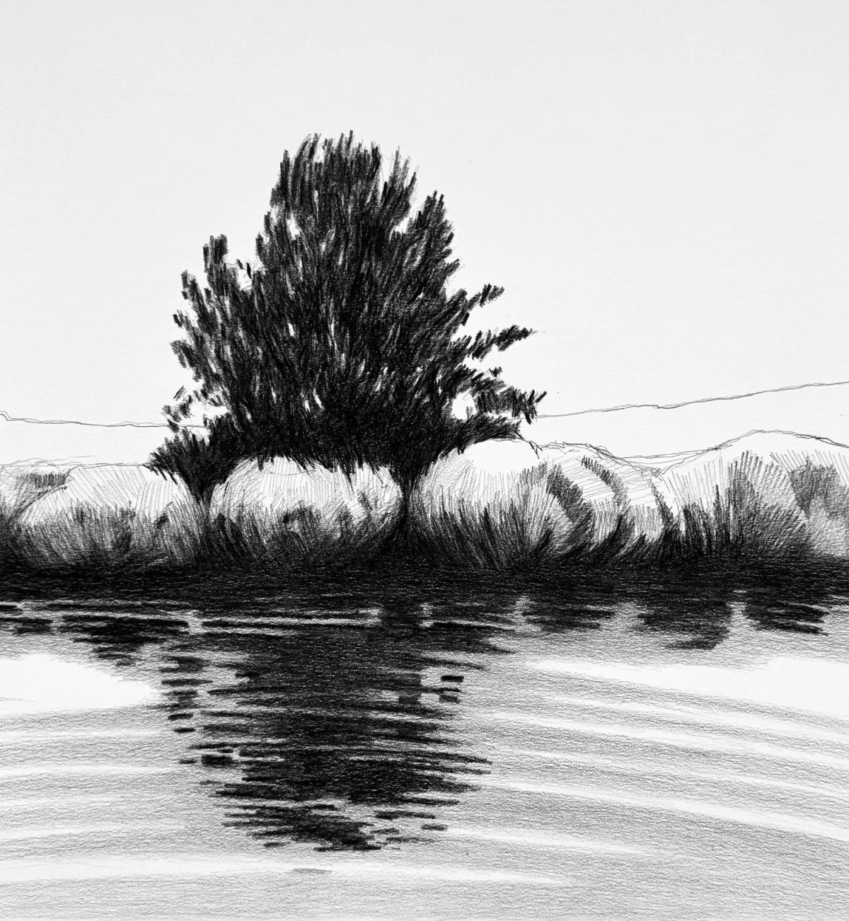 Silver Creek by Frances Ashforth