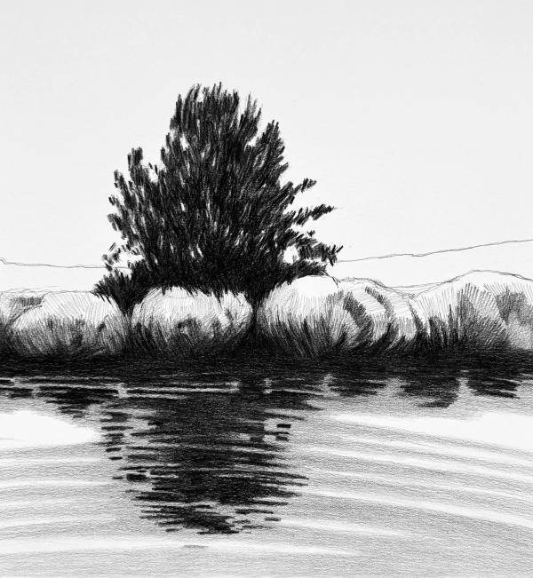 Silver Creek by Frances Ashforth