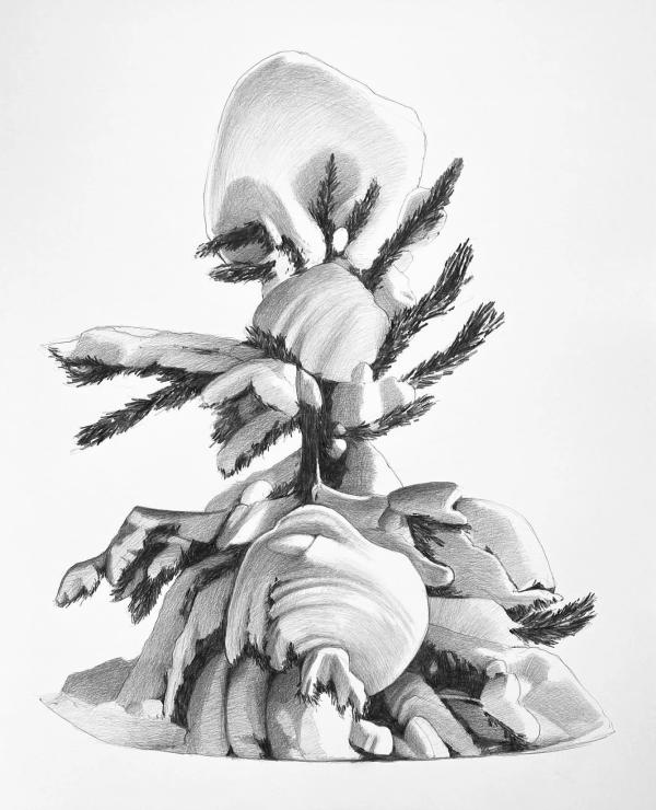 White Pine 1 by Frances Ashforth