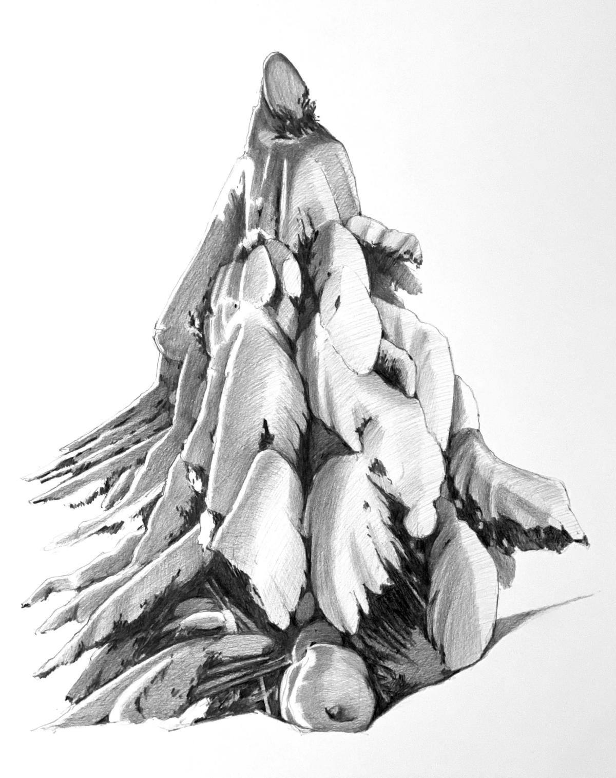 White Pine 2 by Frances Ashforth